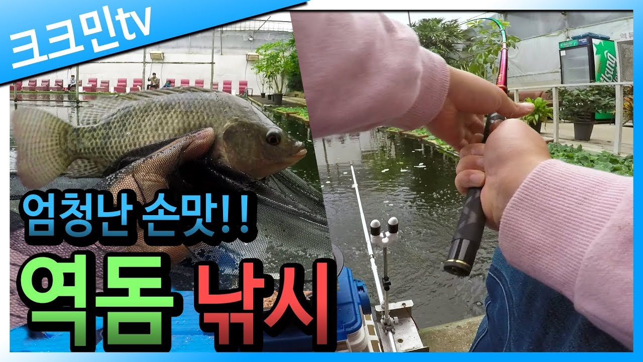 역돔 낚시 1편 (슬로프 채비, 설동낚시터 하우스)