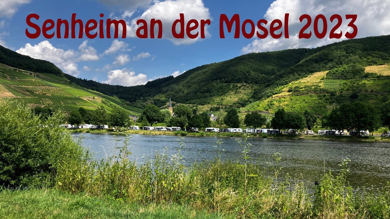 Mosel Holländischer Hof Senheim