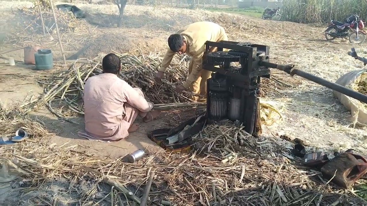 Traditional Jaggery Making Plant In Punjab | How to Make Jaggery | Gur Making | Organic Jaggery