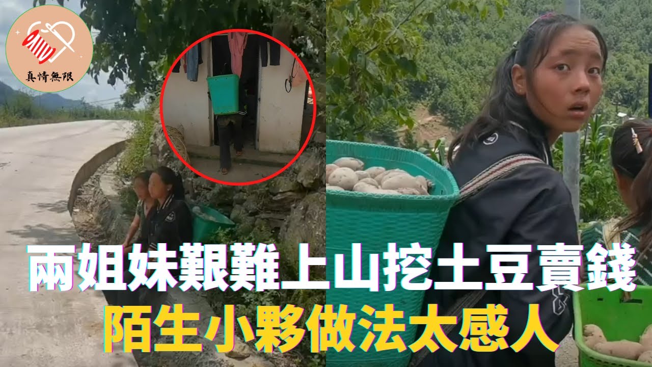 兩姐妹艱難上山挖土豆賣錢，陌生小夥做法太感人 #真情無限 #暖心 #暖心故事 #正能量 #淚目 #生活 #溫暖 #社會新聞 #老人 #感動