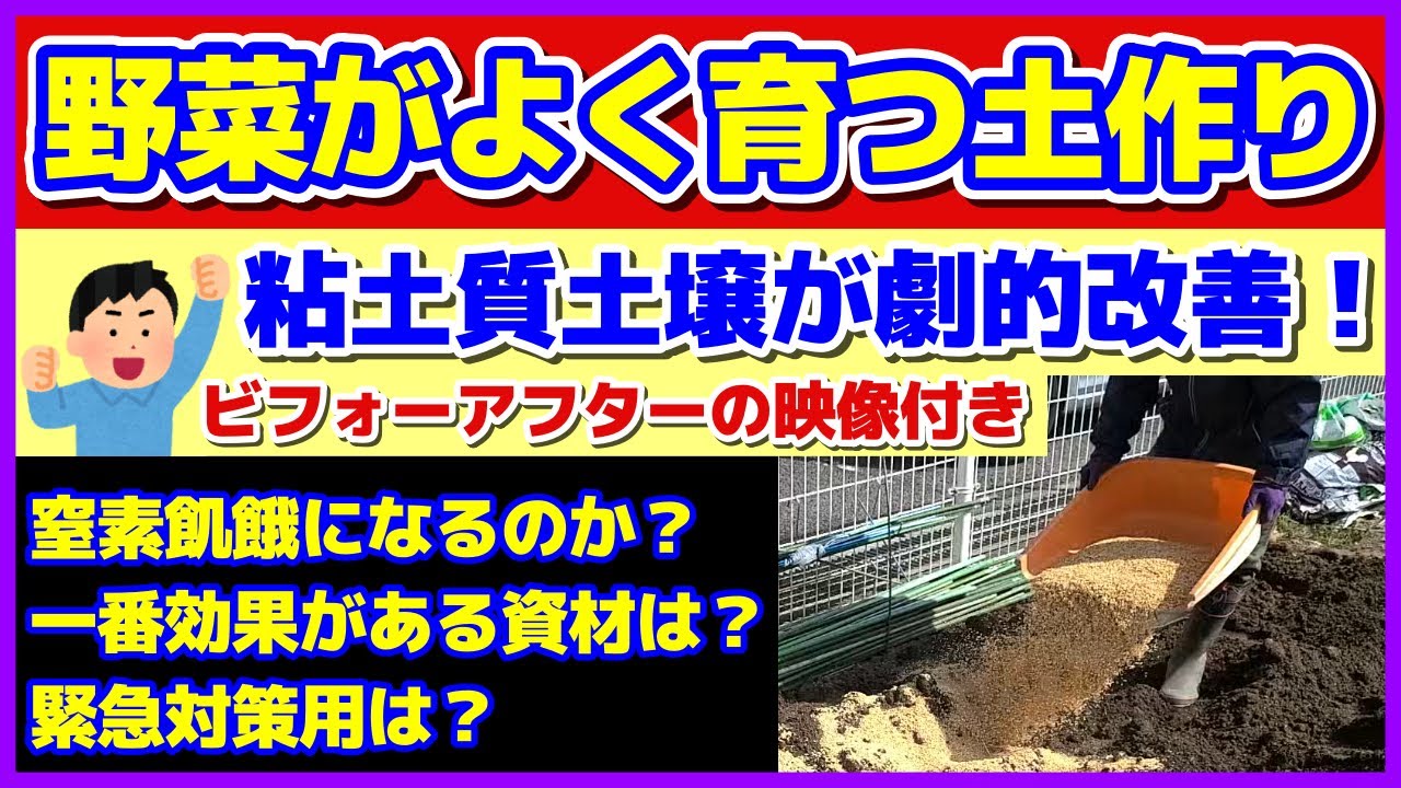 【こうやったら粘土質土壌が劇的に改善した！】野菜がよく育つ家庭菜園の土作り／２年で劇的に改善したことがわかるビフォーアフターの映像／一番効果を感じた資材／もみ殻・米ぬかで窒素飢餓？／緊急対策用は？