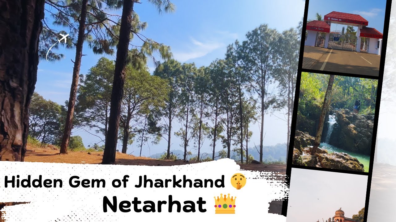 Jharkhand Ka Switzerland 😲 | Netarhat & Lodh Falls Vlog