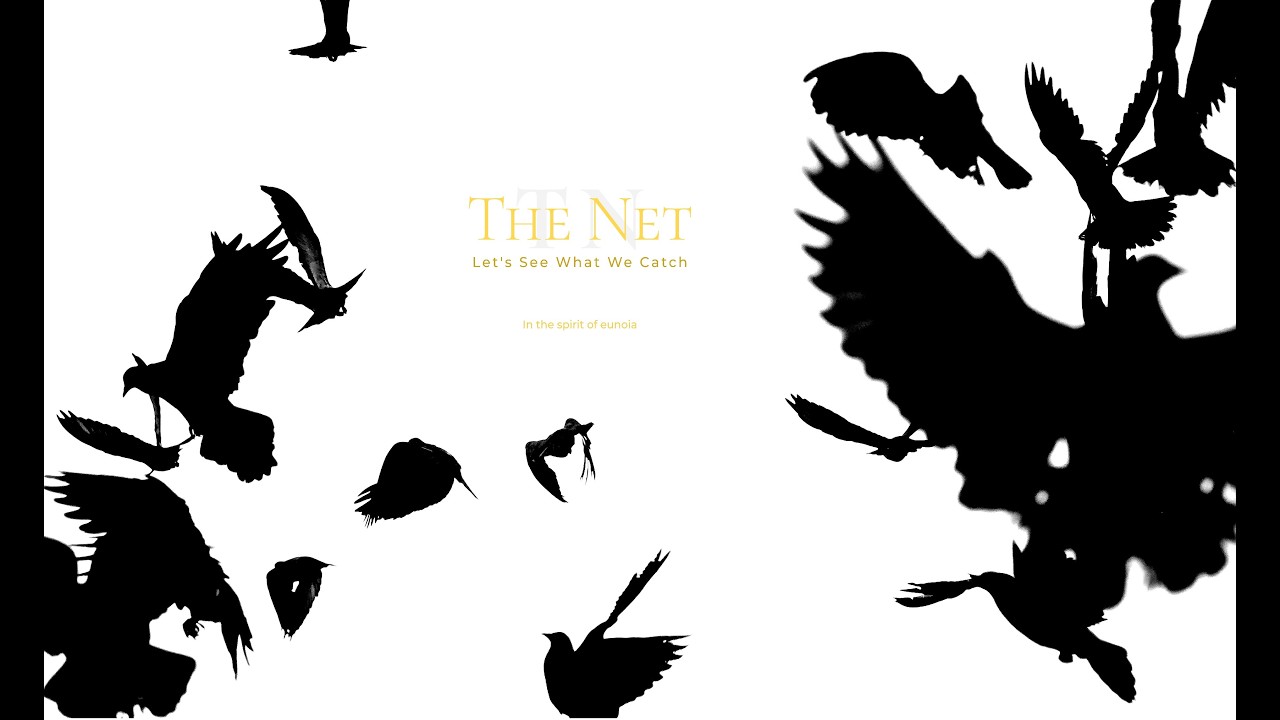 The Net (205): Creativity & Social Coordination Mechanism as Productivity & Pricing Mechanism