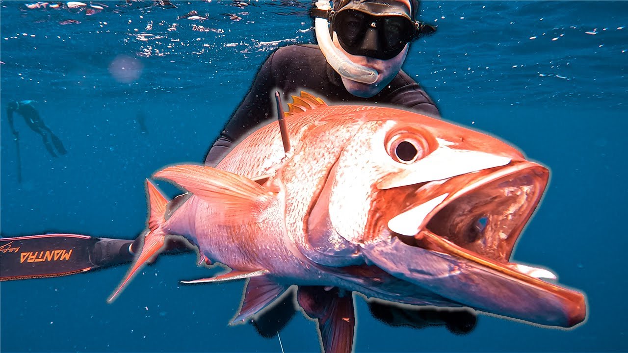 Spearfishing RARE DEEP WATER Fish in Remote Hawaii (World Record?)