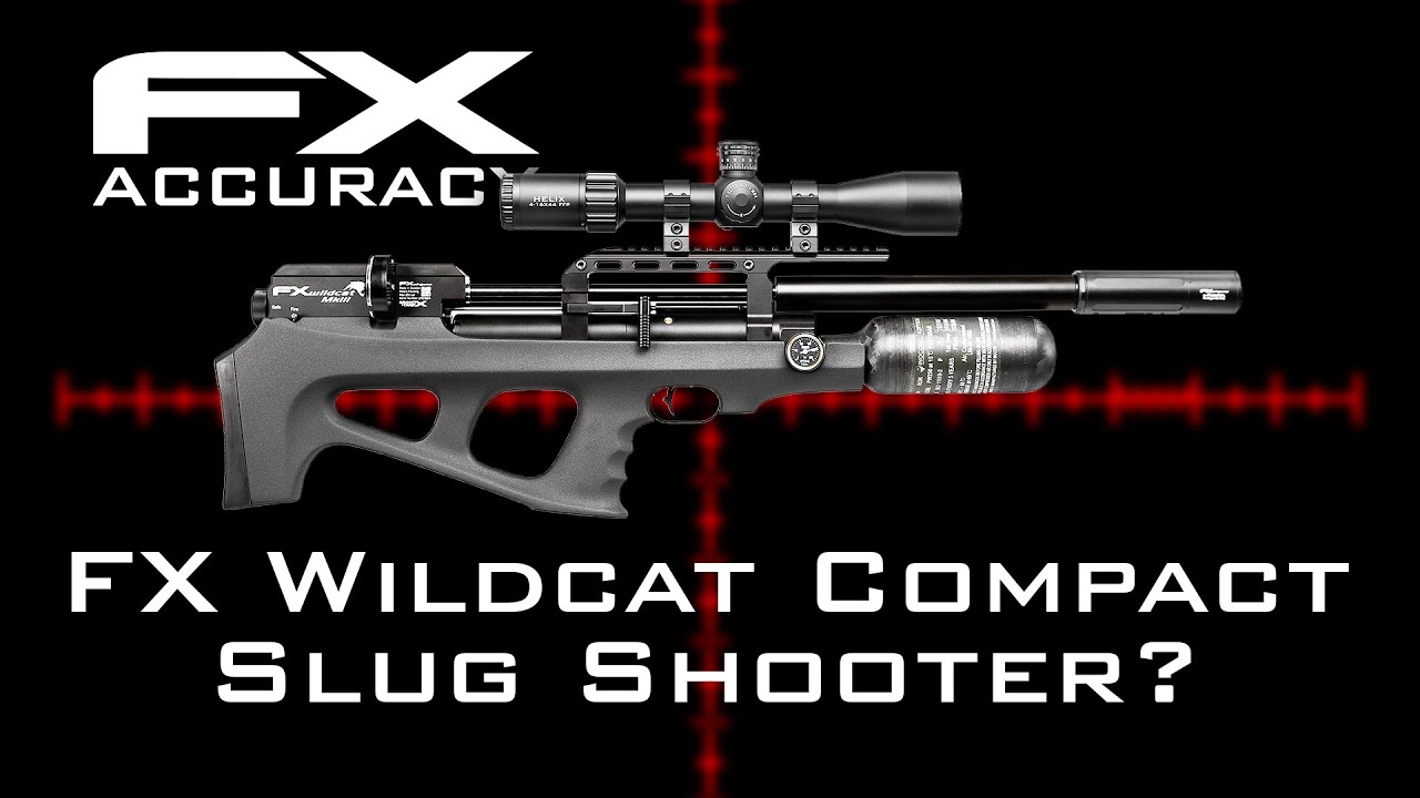 Wildcat MKIII Compact Slug Accuracy w/ Ted Bier - FX Airguns Accuracy