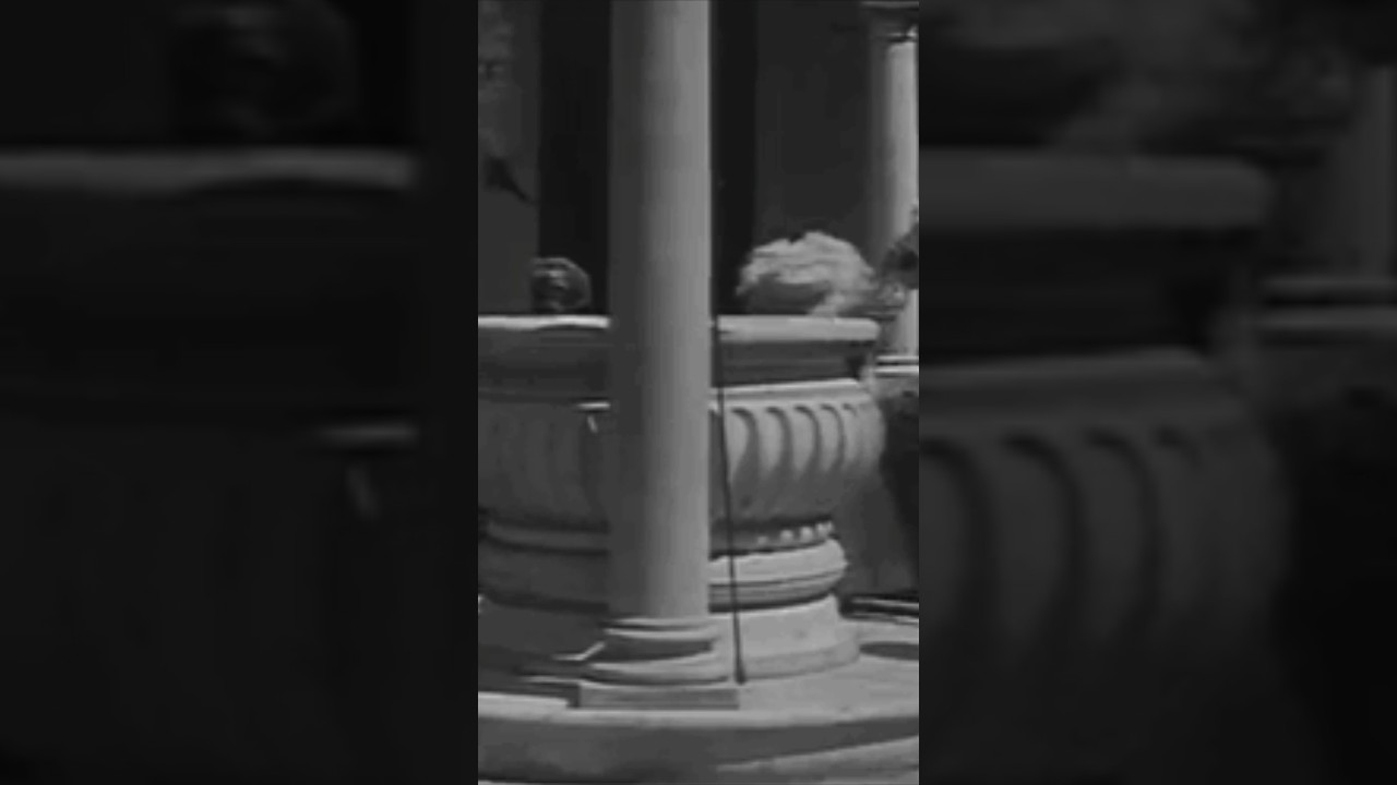 #history