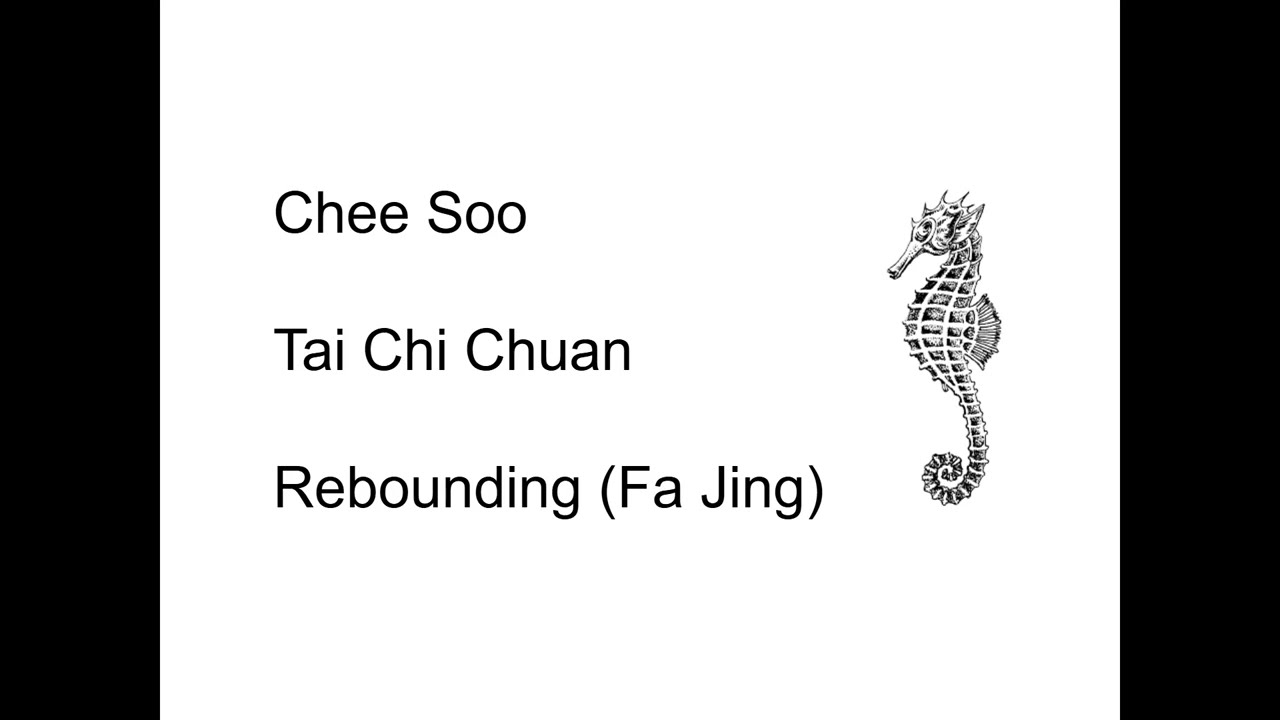 Chee Soo:  Rebounding (Fa Jing).