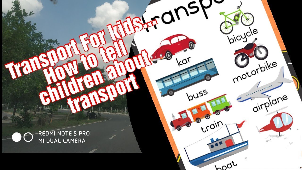 How to tell about TRANSPORTATION to kids.  Teach transport to children.  Transport kindergarten