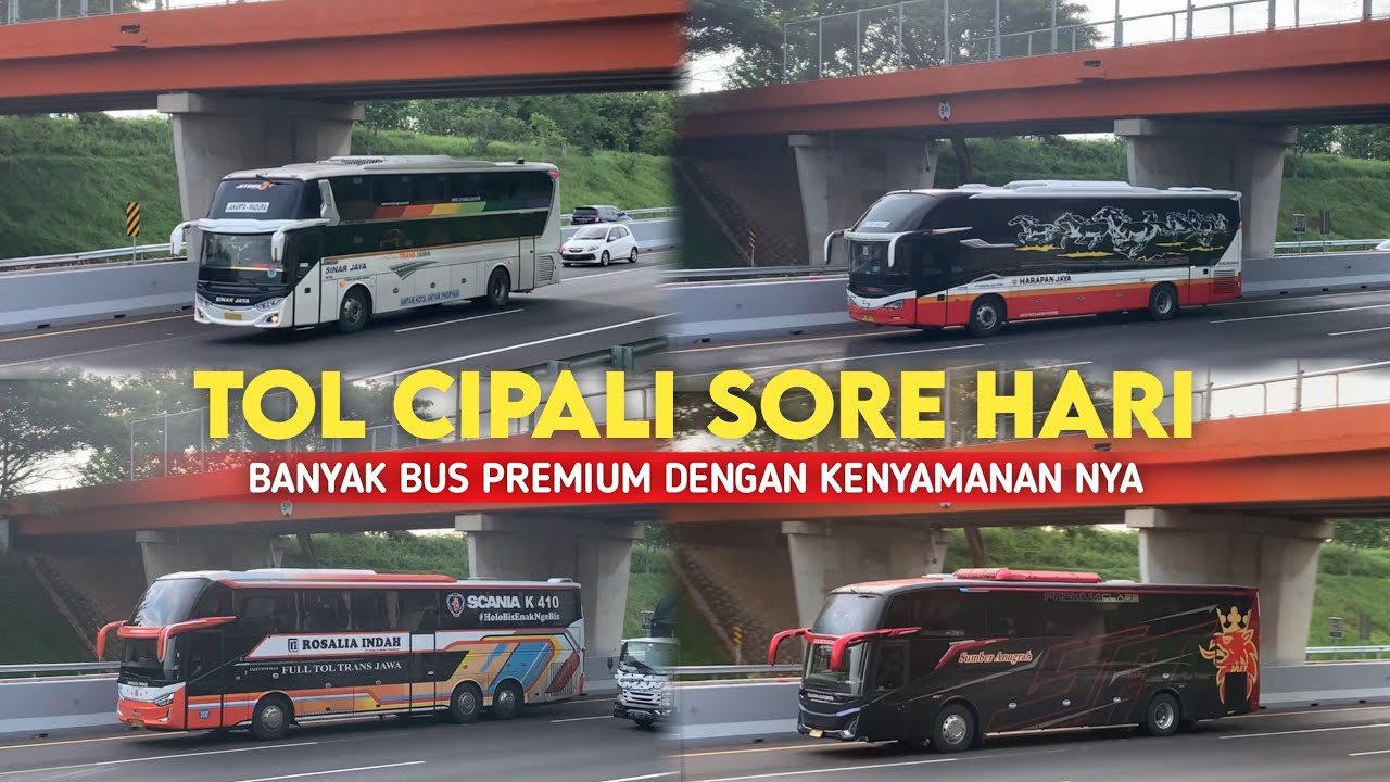 JAM NYA BUS PREMIUM LEWAT‼️HUNTING SORE DI TOL CIPALI