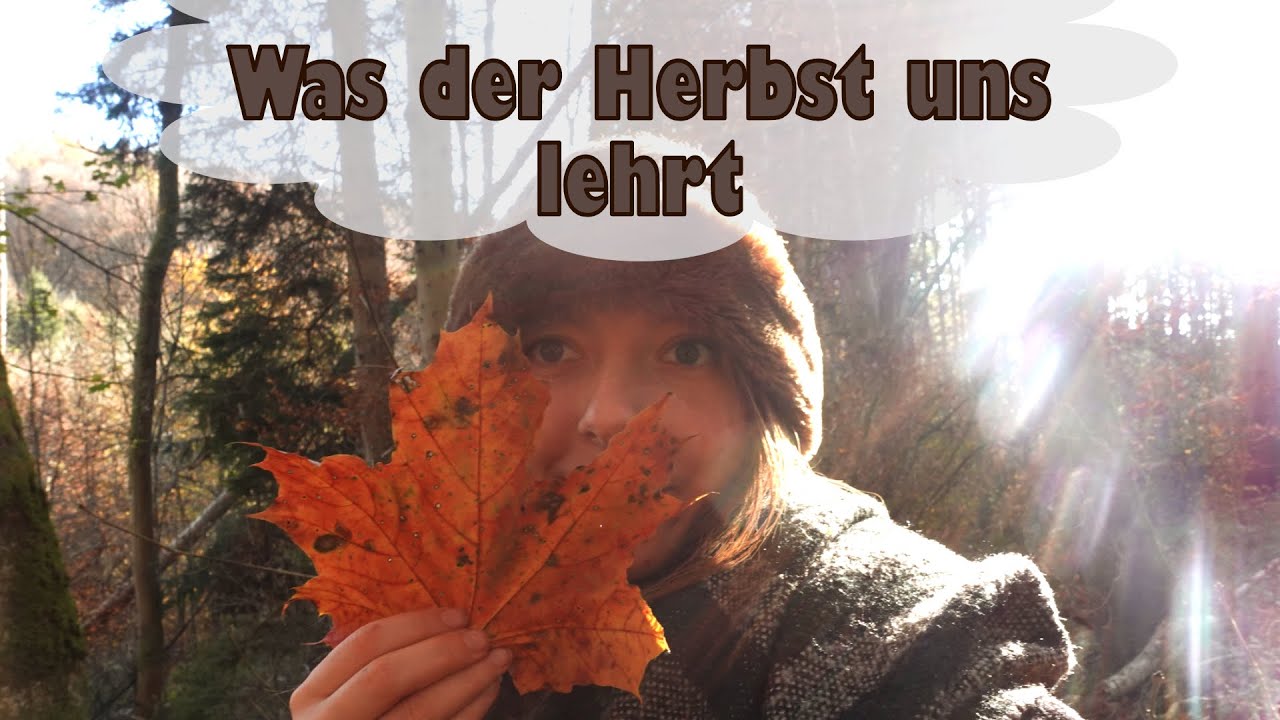 Loslassen mit dem Herbst // spazieren&philosphieren #1 // #herbst #wald #natur