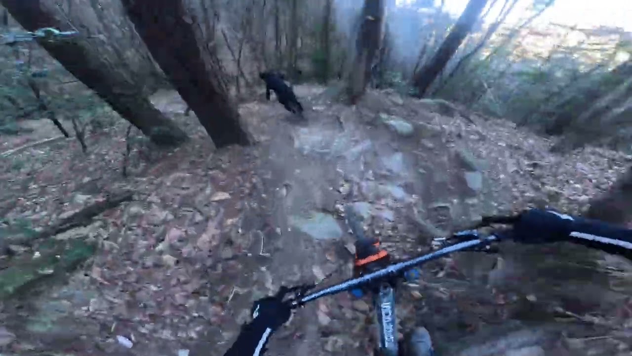 FULL RUN POV—— SAN REMO 🇮🇹