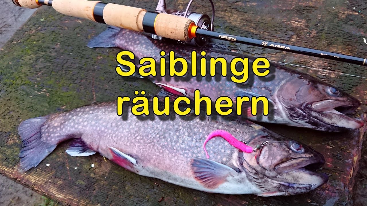 Saiblinge räuchern - schnell und einfach