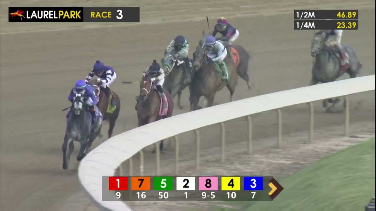LAUREL PARK 2025-11-23 PL#99_REPLAY SHOW