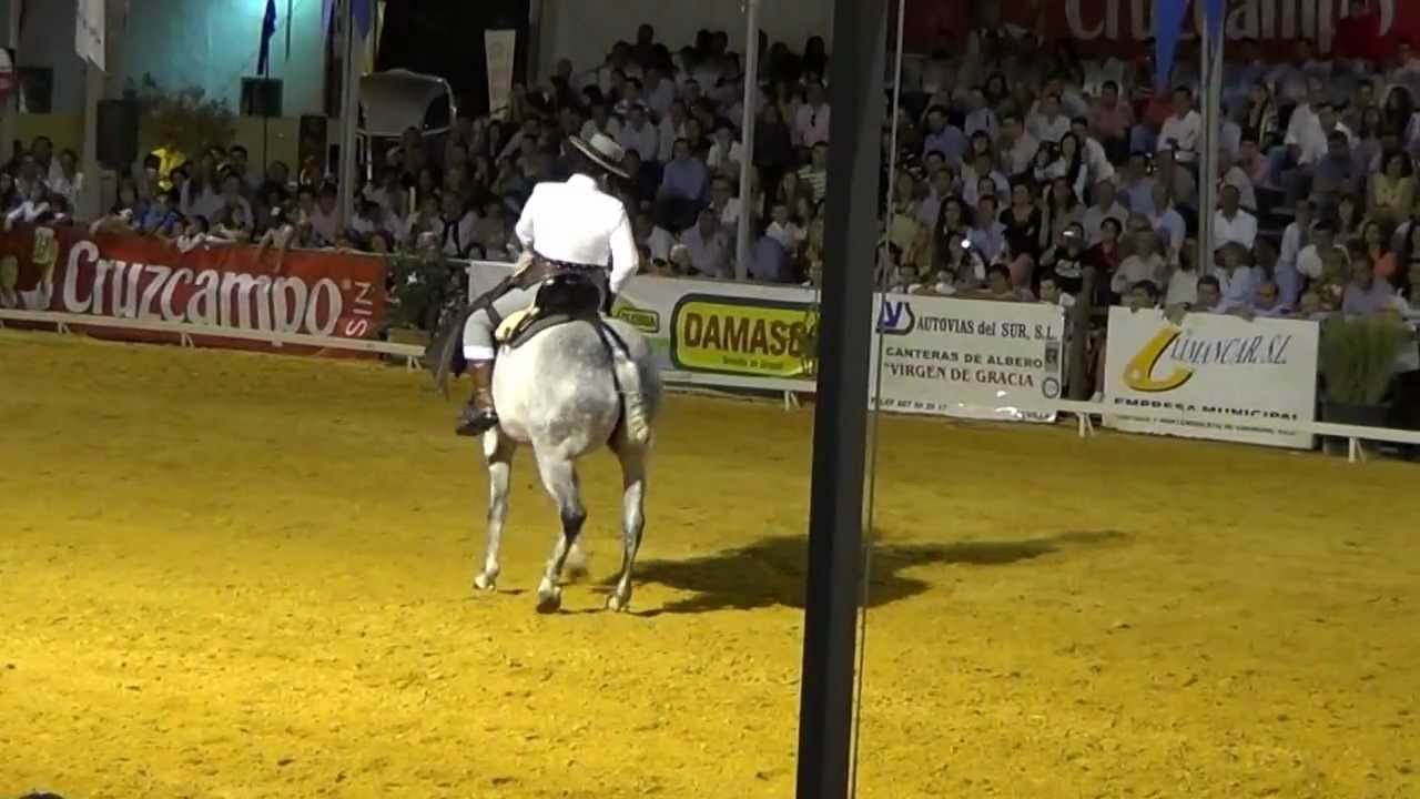 Rafael Arcos con Babieca clasificatoria Cpto España doma vaquera 2012