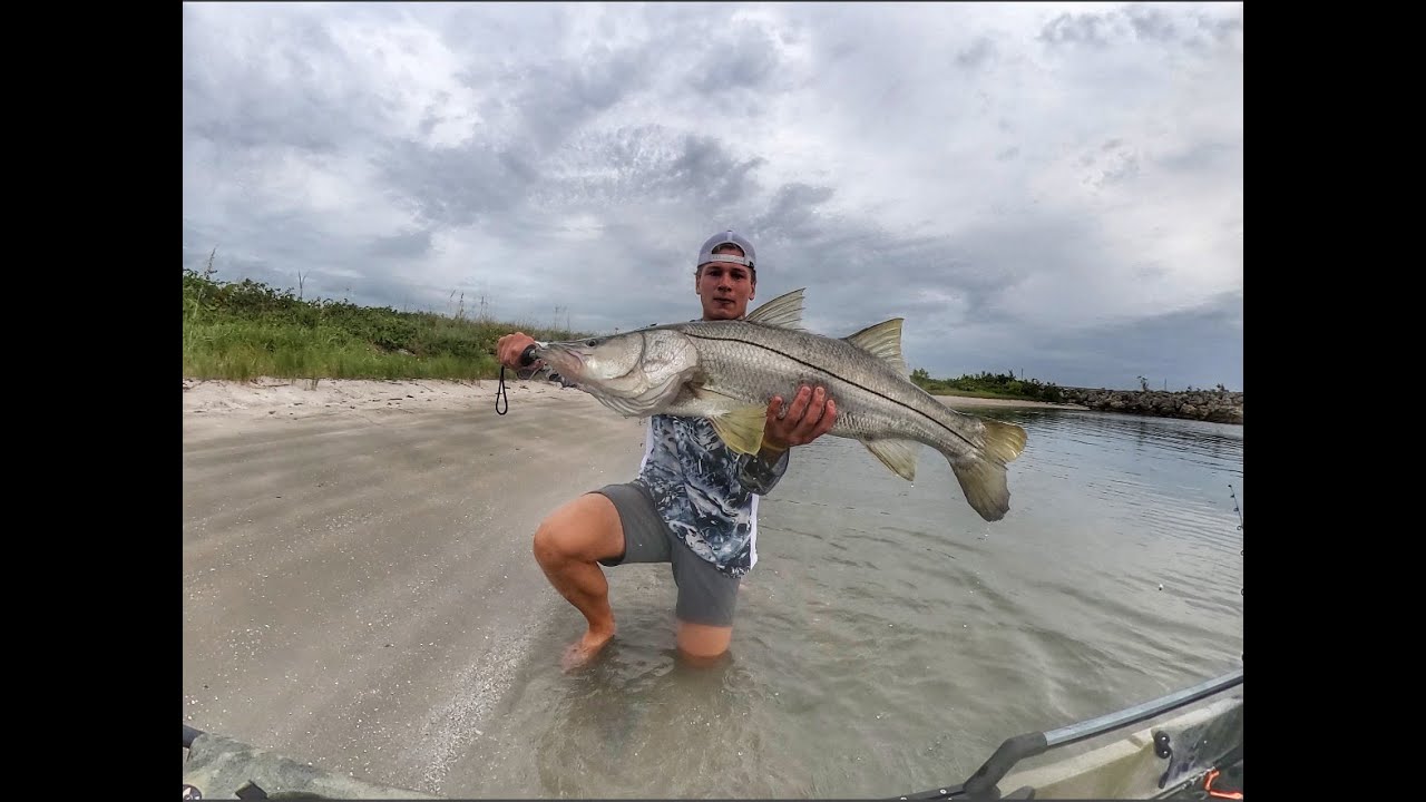 INSANE topwater Snook Fishing!!!!