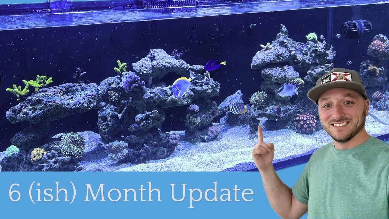 Waterbox 190.5 6 Month Update
