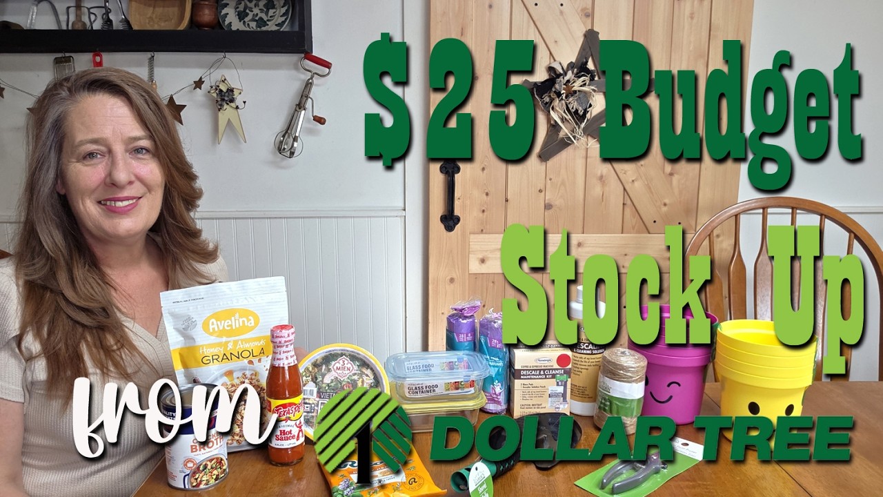 Закупка продуктов на сумму 25 долларов в магазине Dollar Tree.