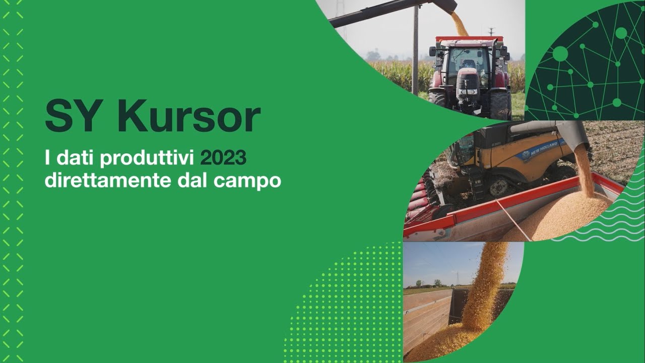 SY KURSOR Mais Syngenta: scopri i dati produttivi in tutta Italia!