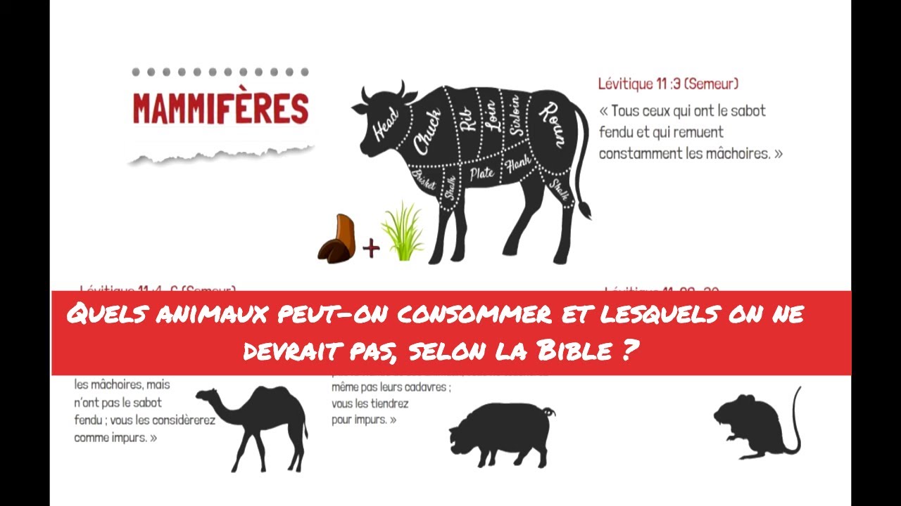 Quels animaux peut-on consommer et lesquels on ne devrait pas, selon la Bible?