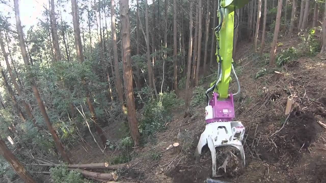 フェラーバンチャザウルスロボ　4倍速　作業道開設　GOPRO