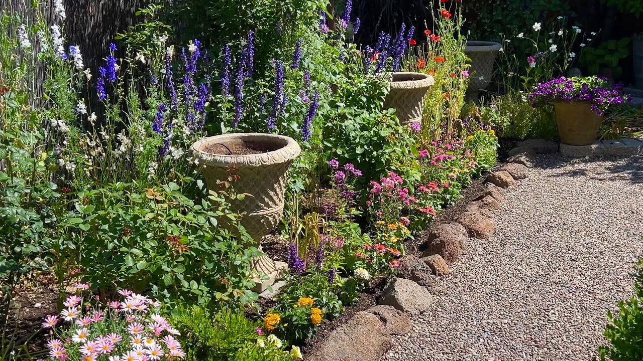 Heat-Tolerant Plants for Summer: Salvia, Cleome, Lantana, Zinnia