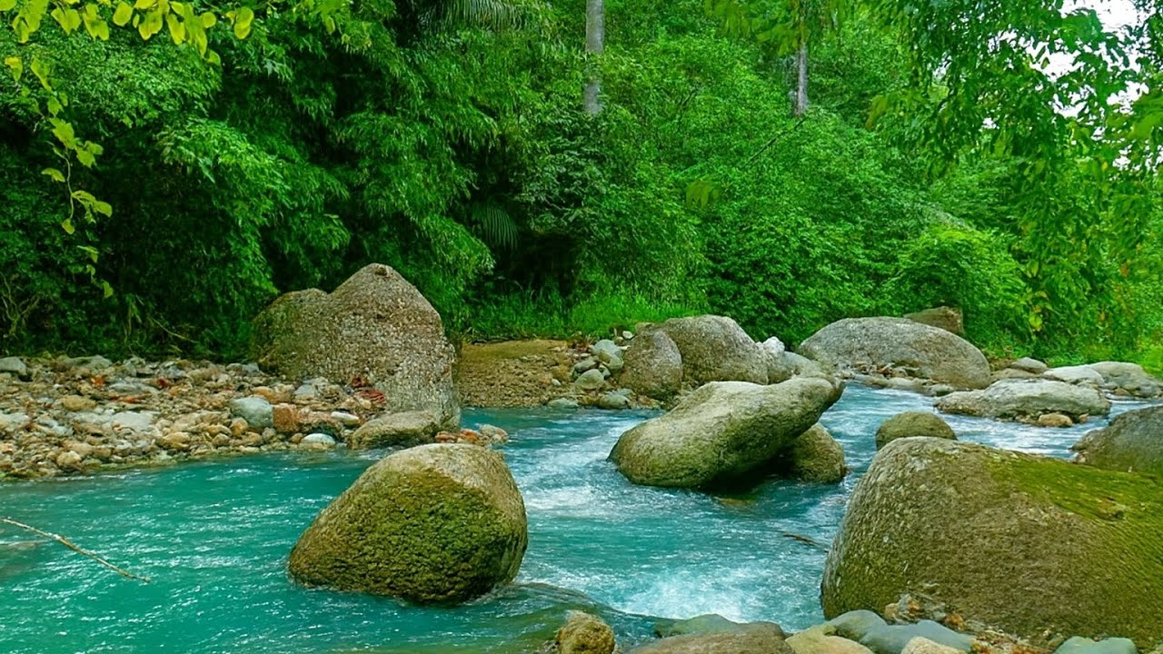 PEACEFUL FOREST RIVER & BIRDSONG | RELAXING NATURE SOUNDS FOR DEEP SLEEP, STRESS RELIEF