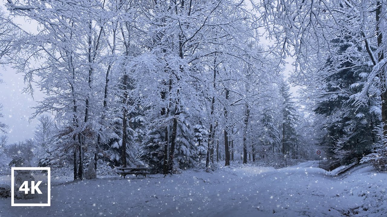 Snowy Village & Forest Walk ASMR | 4K Ultra HD : Winter in Switzerland