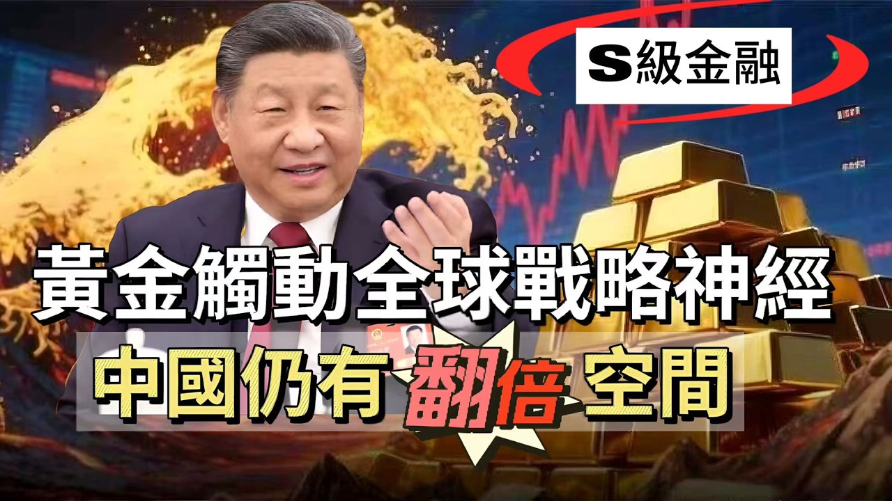 【S級金融】黃金觸動戰略神經！起點與終點有幾遠？中國仍有「翻倍」空間！全球央行增持的背後邏輯，私人投資緊隨其後！ 20260318 #大衛sir #好孩子 #毛遂自薦 #s級分析 #冷眼旁觀 #唱雙簧