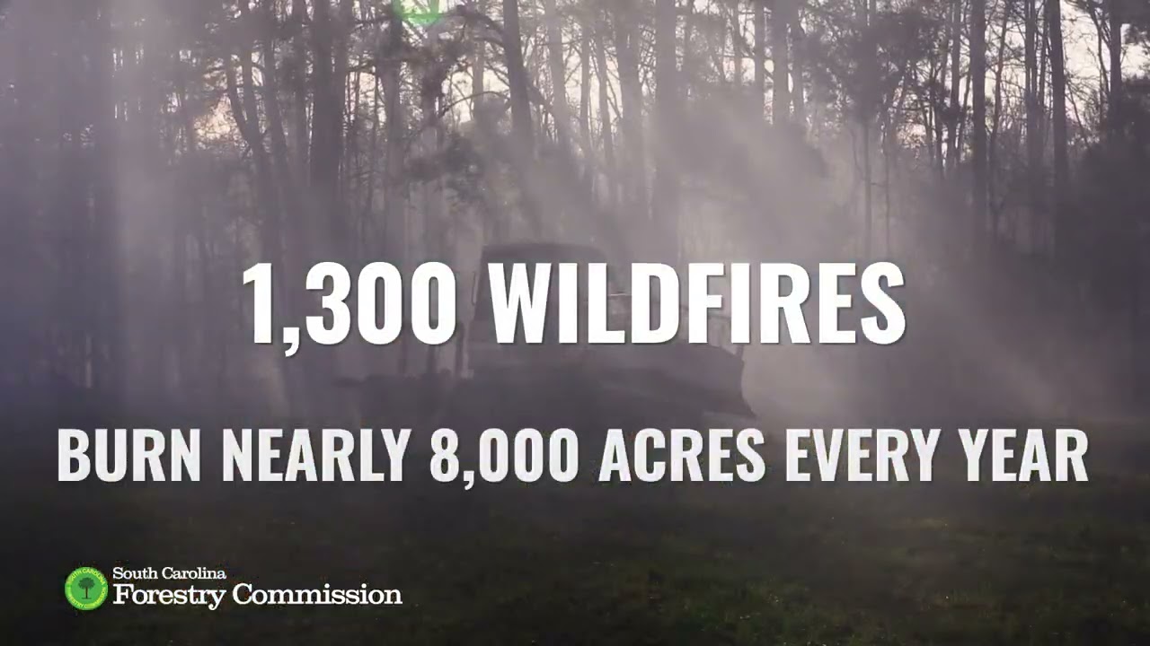 PSA: Wildfires in SC with the Forestry Commission