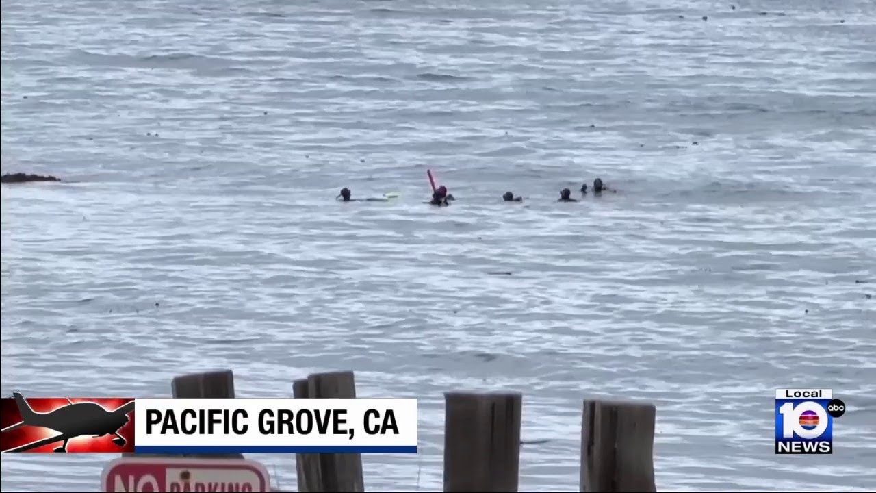 3 killed after small plane crashes into water off California coast