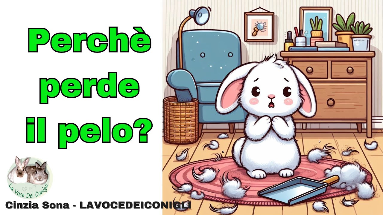 Perchè il coniglio perde il pelo?