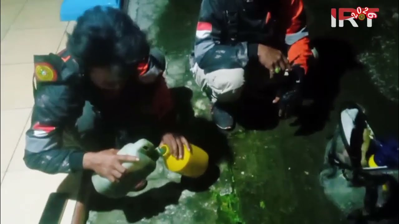 Pengondisian Sarang Tawon Vespa Affinis Di Daleman Desa Lorog.