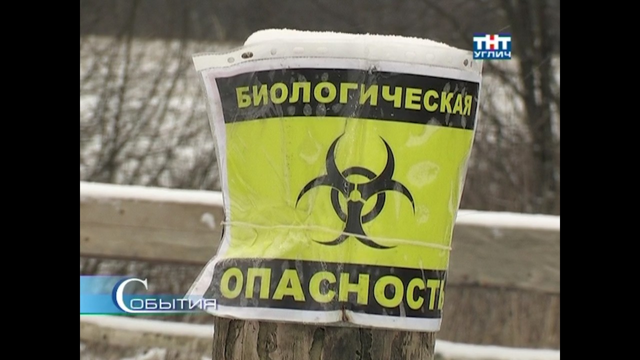 2012/12 – Как семья Тузовых свиней лишилась...