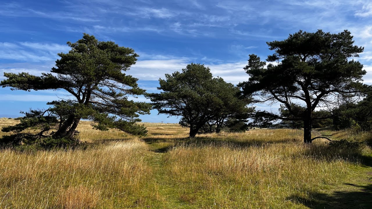 Secret Beaches of East Lothian: Hidden Paradise Walk 4K