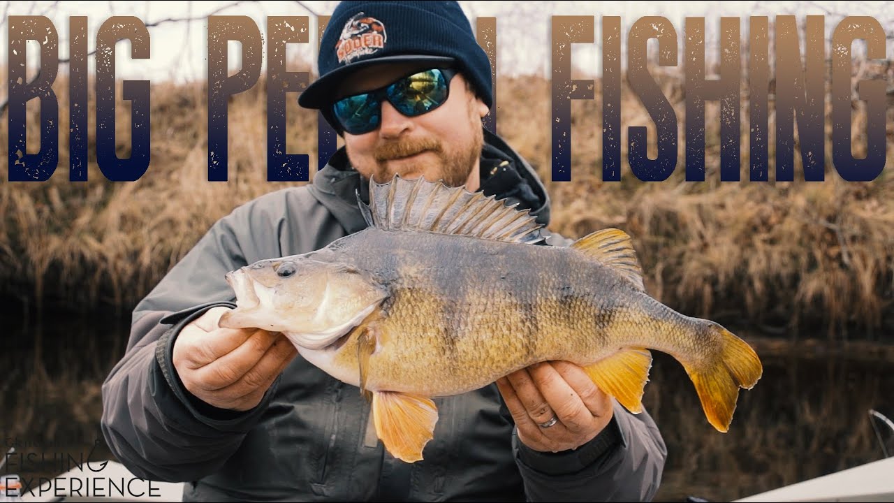 Big Perch Fishing - Glen Grant Fishing Experience