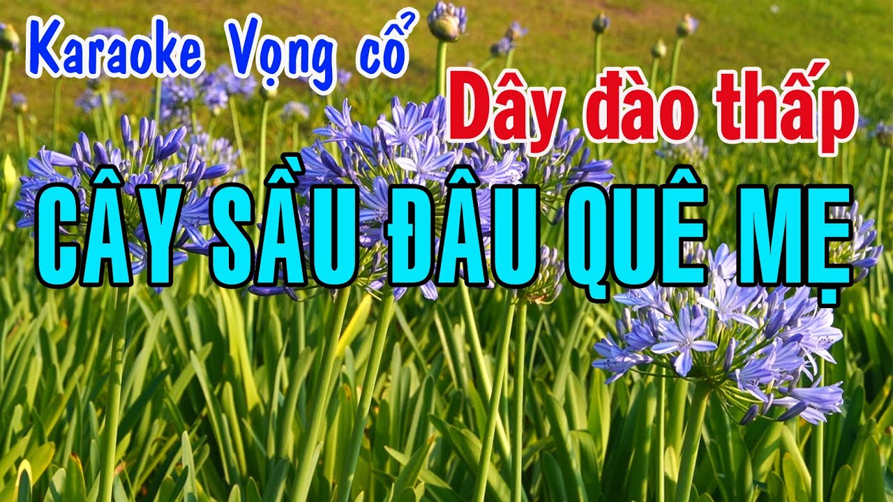 Karaoke vọng cổ CÂY SẦU ĐÂU QUÊ MẸ - DÂY ĐÀO THẤP [T/g Hoàng Song Việt]