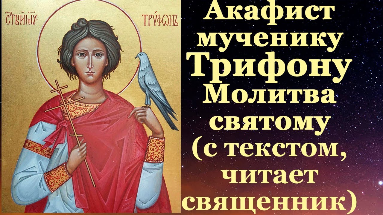 Акафист мученику Трифону, с текстом, слушать, читает священник, молитва святому Трифону Апамейскому