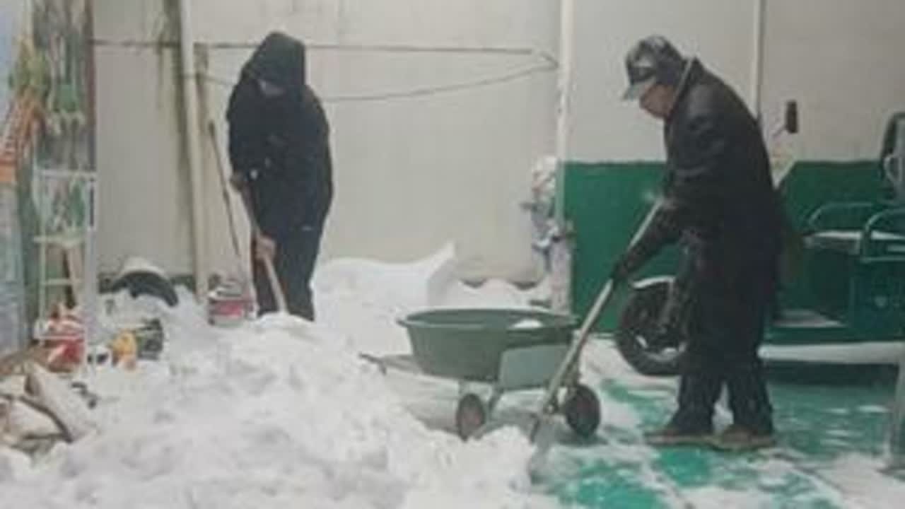 河南又进入了冬季模式，下的雪更像白糖多一些，而且下雪还打雷，这种情况并不多见。#下雪打雷闪电齐上阵 #今天的雪下到你的城市了吗 #河南的天气就像小孩子的脸