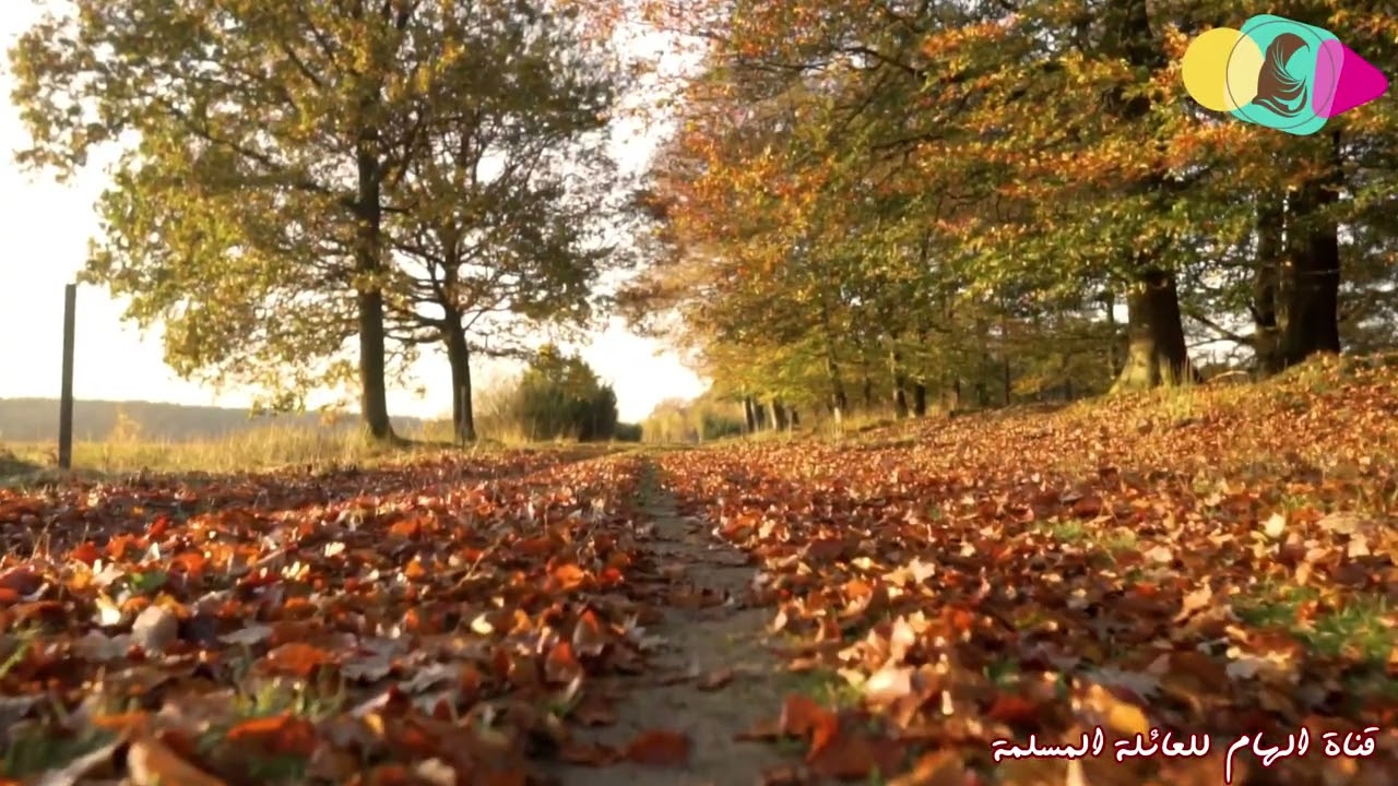 اروع نشيد ستسمعه في حياتك - عمر العيسى - لا تشك للناس
