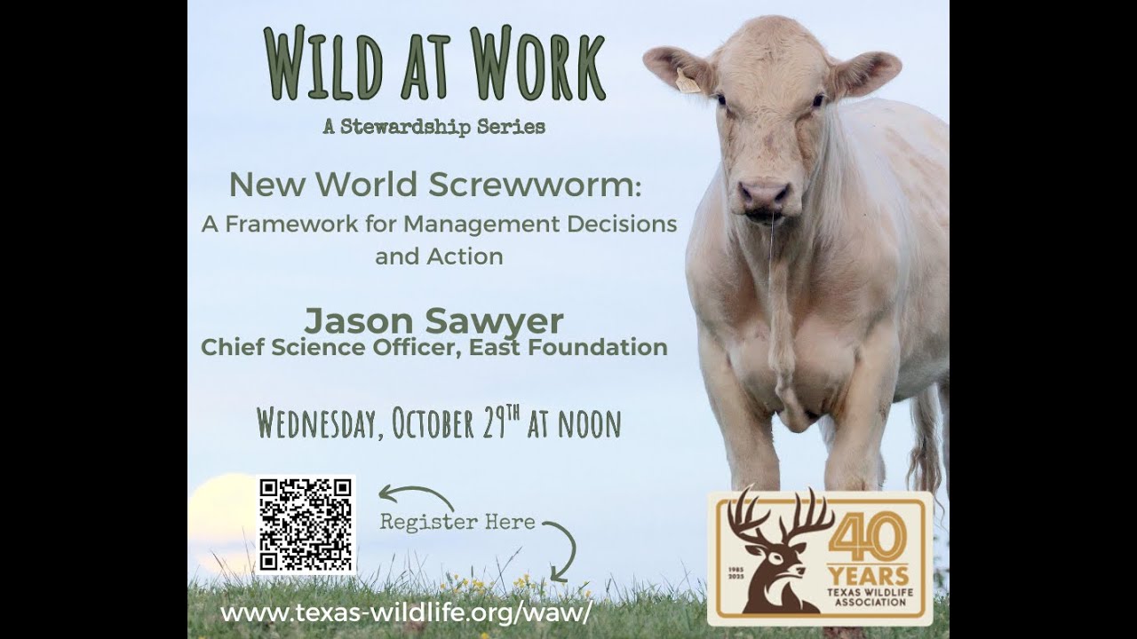 Wild at Work- New World Screwworm, A Framework for Management Decisions