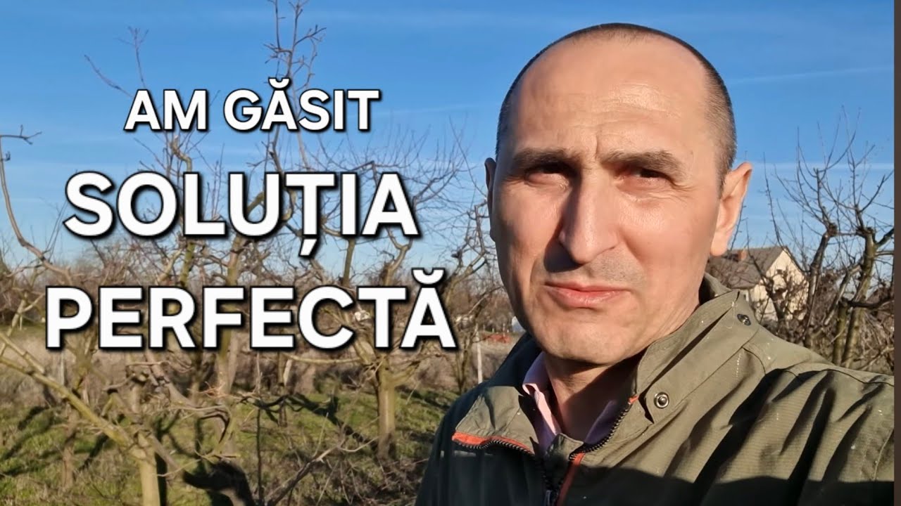 Cum arată LIVADA DE CIREȘI  la început de primăvară! CE DĂUNĂTORI NOI AM GĂSIT