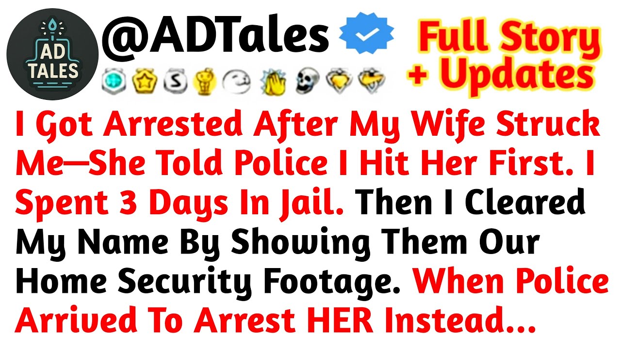 I Got Arrested After My Wife Struck Me—She Told Police I Hit Her First. I Spent //Reddit Stories