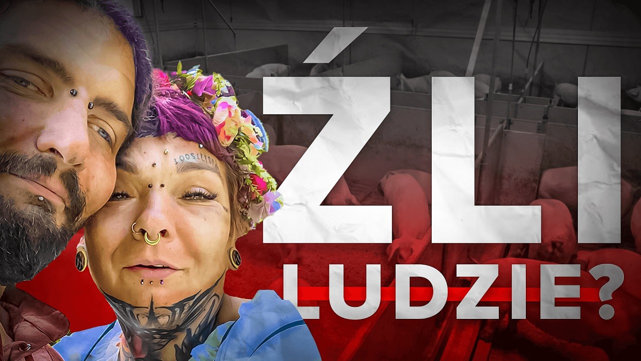 Gieniutkowo Jest o Wiele GORSZE Niż Myślisz...