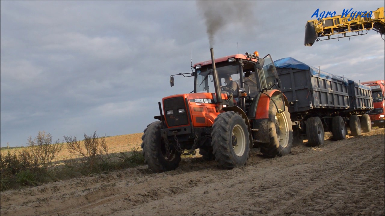 Kampania Buraczana 2016 Firma Nowak Grimme,Ropa,Zetor