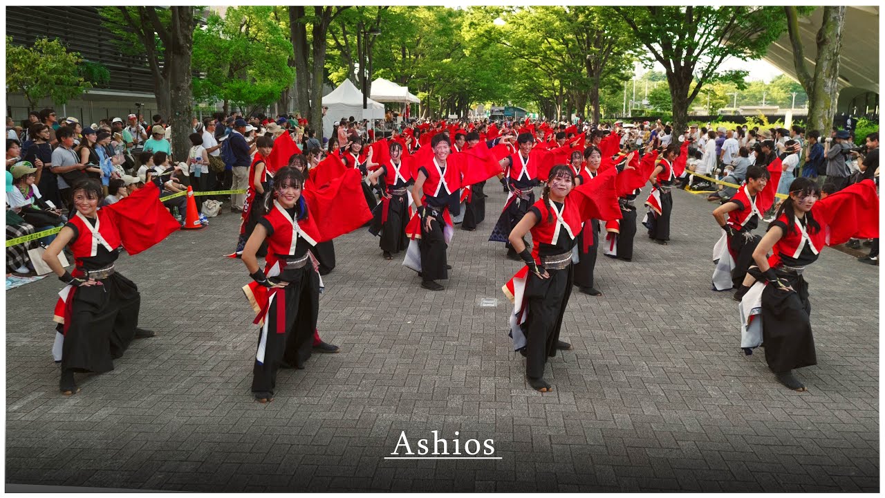 早稲田大学 踊り侍 2025 「唯我」  [原宿表参道元氣祭スーパーよさこい2025 NHK前ストリート パレード]