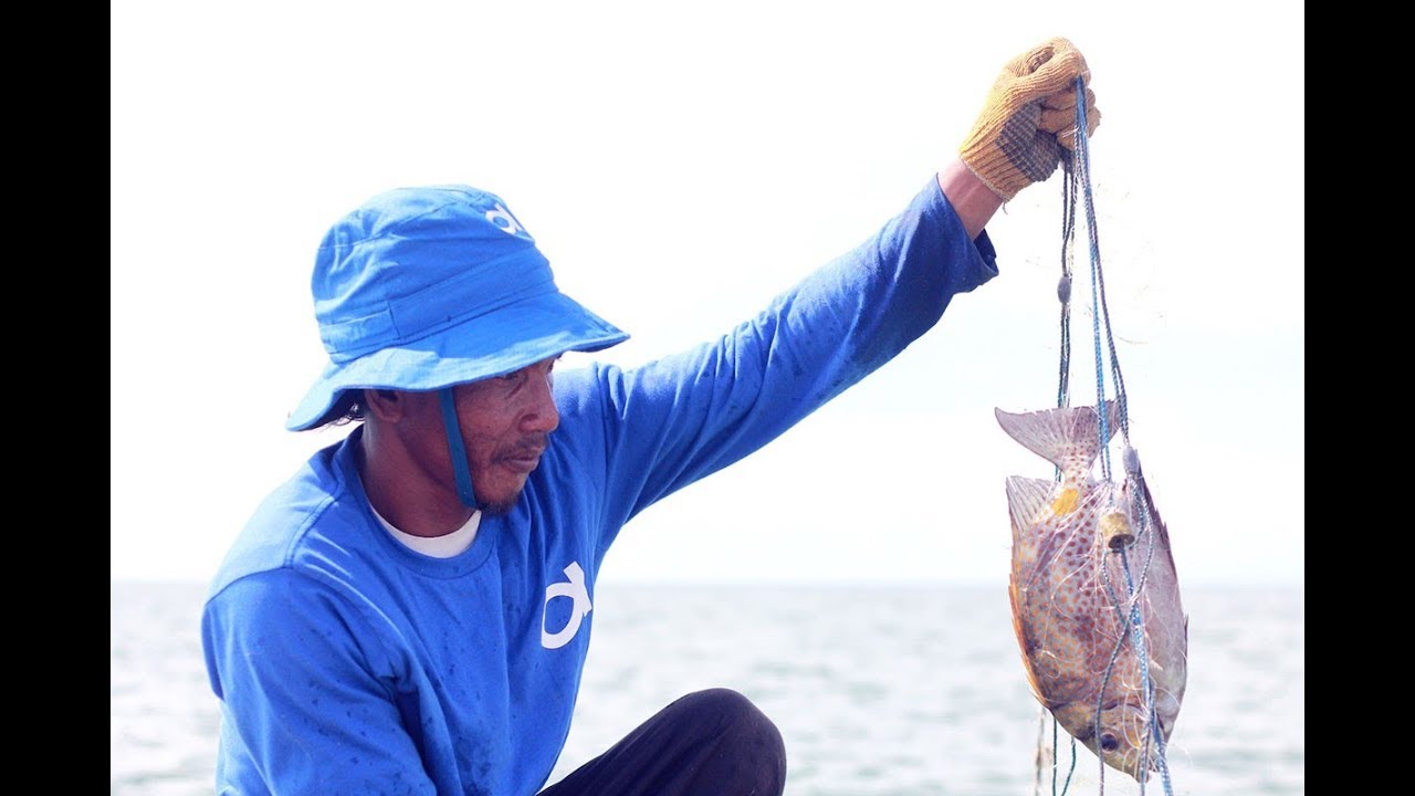 Sunrise at Sea – Indonesian e-commerce fishery app is set to transform the lives of local fishermen