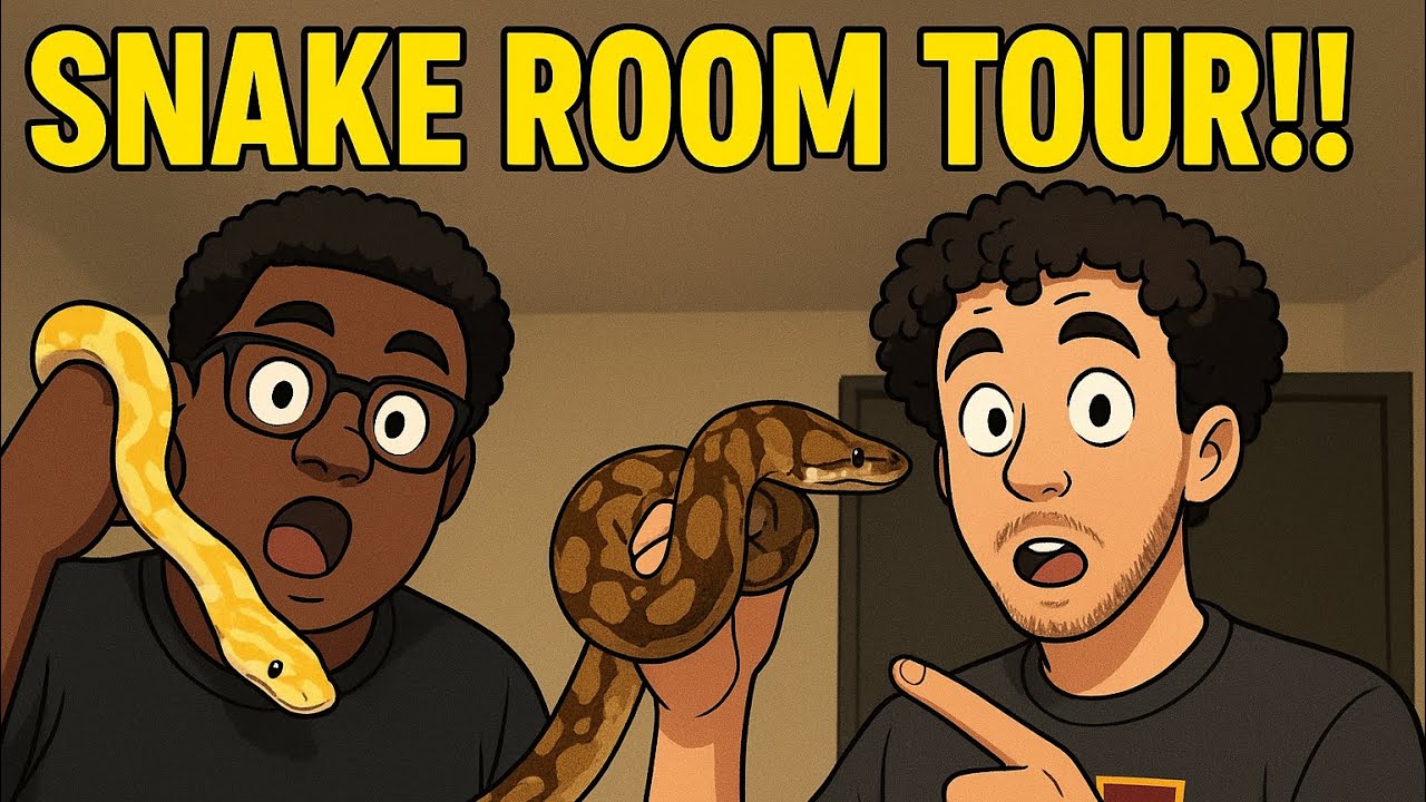 Snake room tour!! 👀￼