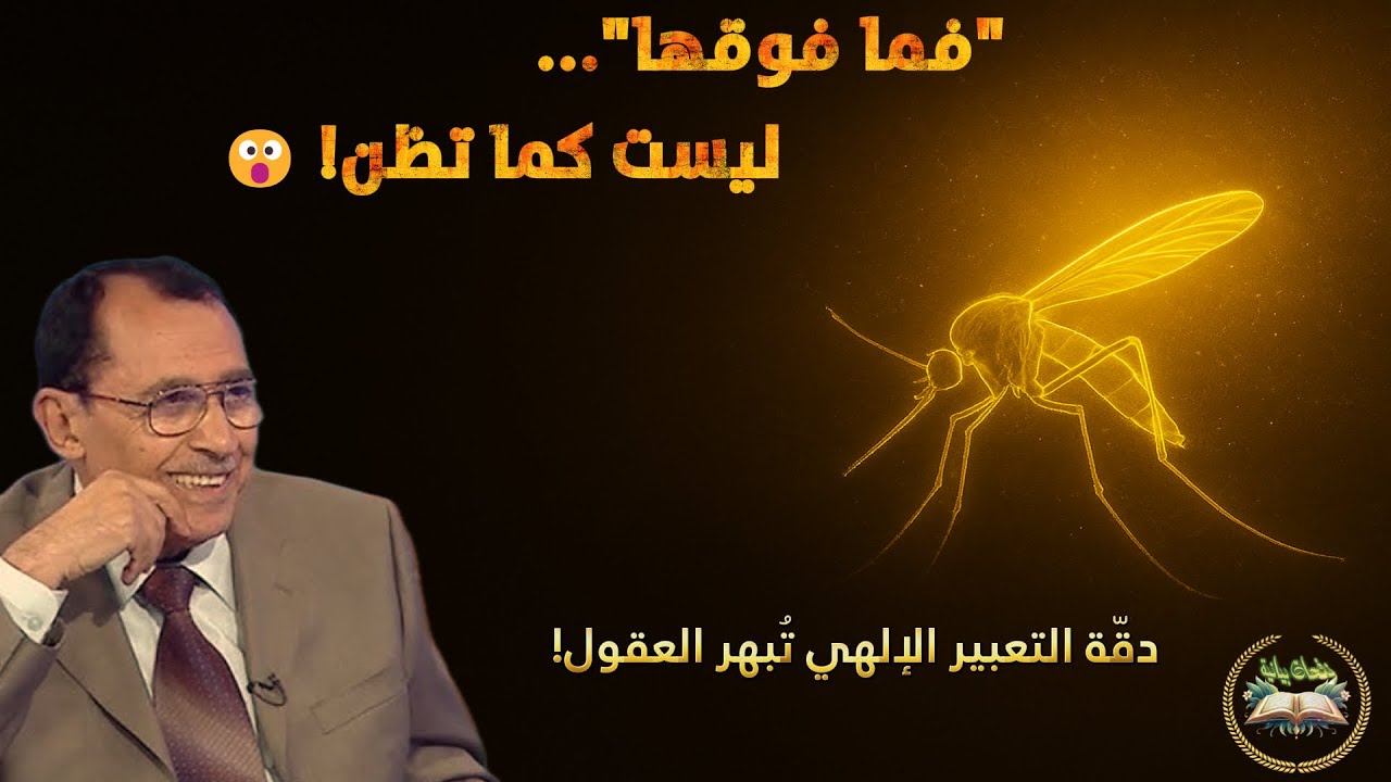 ما معنى فما فوقها؟ سرّ عجيب في آية البعوضة يُدهش العقول! 🪰✨  تفسير العلامة فاضل السامرائي