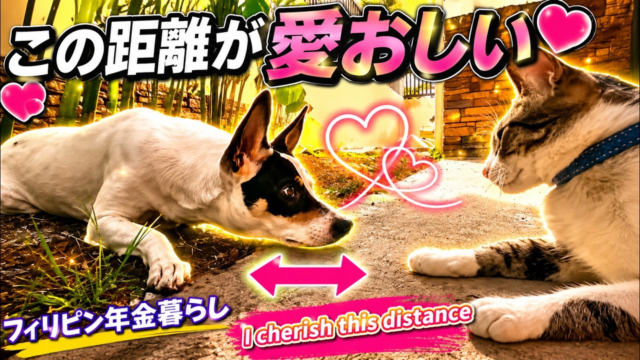 【出会いから3ヶ月】フィリピンの時が叶えてくれた、2人の「15cm」の距離。