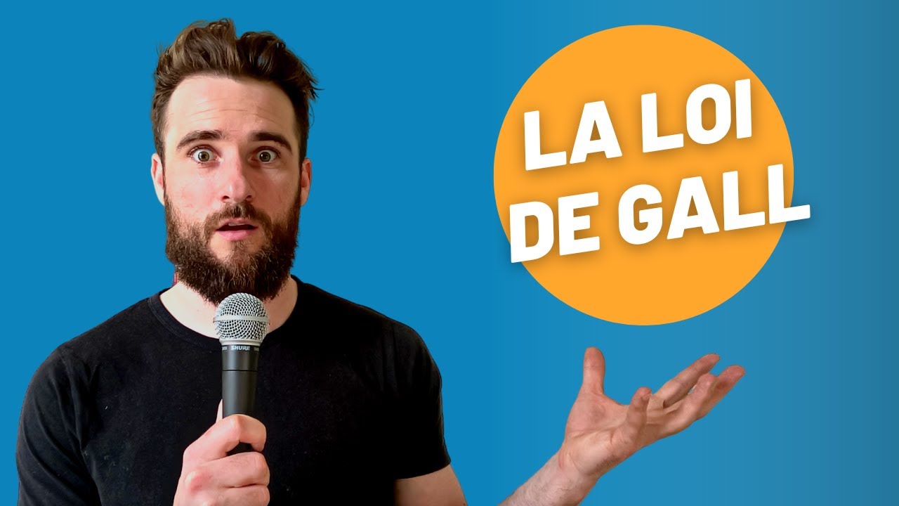 Ignorer la loi de Gall = rester désorganisé (à vie)